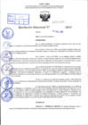 Vista preliminar de documento R.D 0376-2024