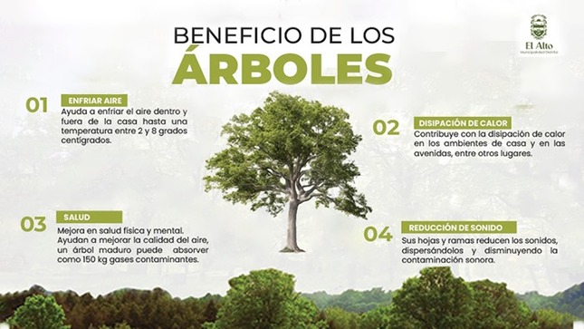 Con el objetivo de informar a nuestra comunidad sobre los seres que forman parte de nuestro medio ambiente y la función que tienen en nuestro planeta tierra.
La Municipalidad Distrital El Alto a través de la Subgerencia de Gestión Ambiental nos informa sobre los beneficios que obtenemos con cada árbol que se encuentra en nuestro ecosistema.