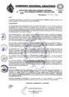 Vista preliminar de documento RESOLUCION N°010