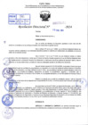 Vista preliminar de documento R.D 0382-2024