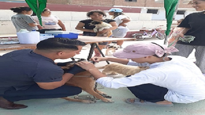 MPH promueve la salud canina en los centros poblados