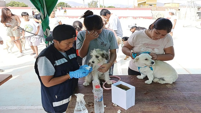 MPH promueve la salud canina en los centros poblados