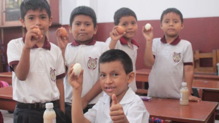 Servicio alimentario escolar