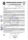 Vista preliminar de documento RESOLUCION N°039
