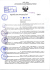 Vista preliminar de documento R.D 0411-2024