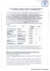 Vista preliminar de documento ACTA DE PRIMERA CONSULTA PUBLICA
