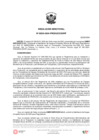 Vista preliminar de documento R.D.N°224-2024