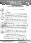 Vista preliminar de documento RGM-016-2024