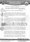 Vista preliminar de documento RGM-041-2024