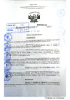 Vista preliminar de documento R.D 0438-2022