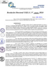Vista preliminar de documento Resolucion Directoral N° 002080-2024