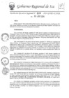 Vista preliminar de documento rer-216-2024-gore-ica-gr