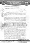 Vista preliminar de documento RGM-040-2024