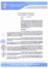 Vista preliminar de documento R-G-232-2022