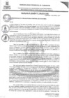 Vista preliminar de documento RAN198-2024