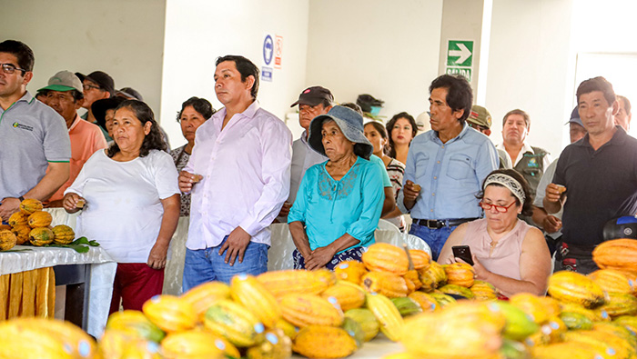 Impulsamos el cacao Chuncho de La Convención