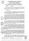 Vista preliminar de documento RER0090-2024