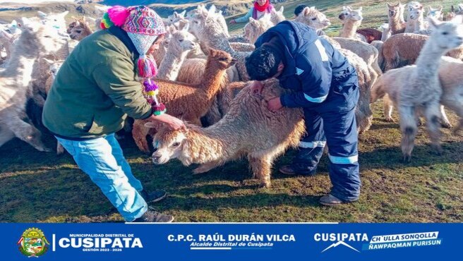 CampaΓ±a de DesparasitaciΓ³n