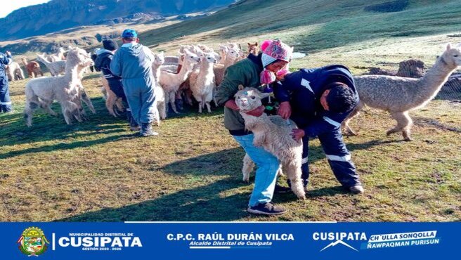 CampaΓ±a de DesparasitaciΓ³n