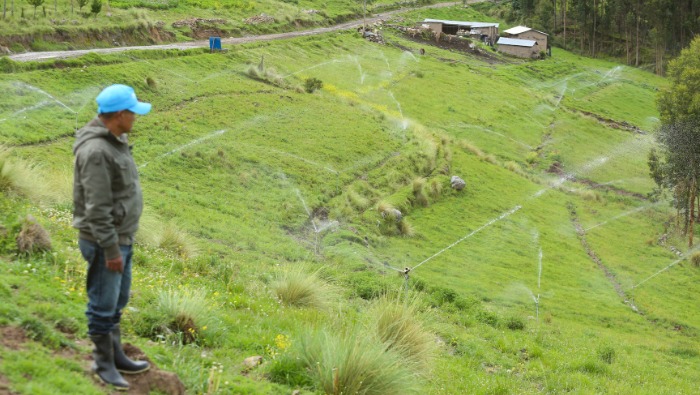 Intervención permitirá dinamizar la economía de más de 730 familias
productoras de estas zonas.
