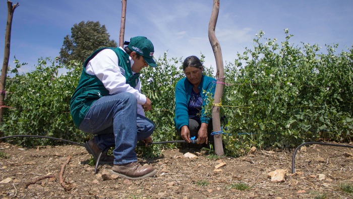 Intervención permitirá dinamizar la economía de más de 730 familias
productoras de estas zonas.