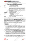 Vista preliminar de documento 103.1. ANEXO 1 - RD N° 103-2024-PNVR Informe de liquidación final