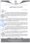 Vista preliminar de documento rgm114