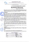 Vista preliminar de documento RD 343-2024-RECTIFICAR CON EFECTO RETROACTIVO LA RD 190-2024-TOTAL DE TIEMPO DE  SERVICIO 33  AÑOS , 02 MESES Y 02 DIAS