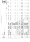 Vista preliminar de documento Reporte de seguimiento anual del PEI 2023