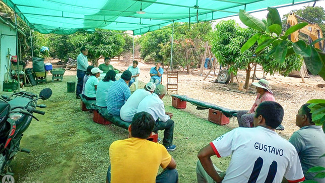 Fotos: Oficina de Imagen Institucional de la GRALL.