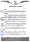 Vista preliminar de documento rgm133