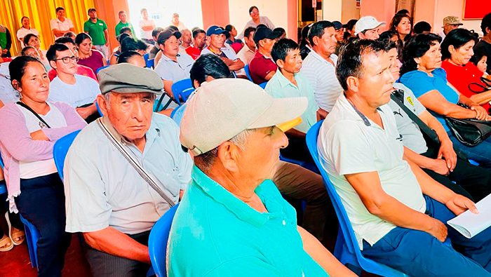 Junín: Mejorarán producción de 500 hectáreas de café en Coviriali y Llaylla