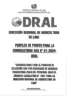Vista preliminar de documento PERFILES DE PUESTO - CONVOCATORIA CAS N° 001-2024