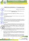 Vista preliminar de documento ORDENANZA MUNICIPAL Nª 001.2024-MDLM