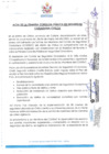 Vista preliminar de documento Acta de la Primera Consulta Publica en Seguridad Ciudadana