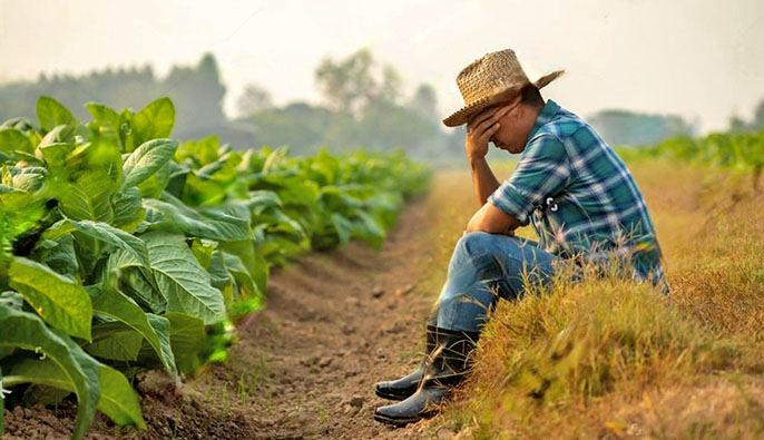 Foto de agricultor con mareo