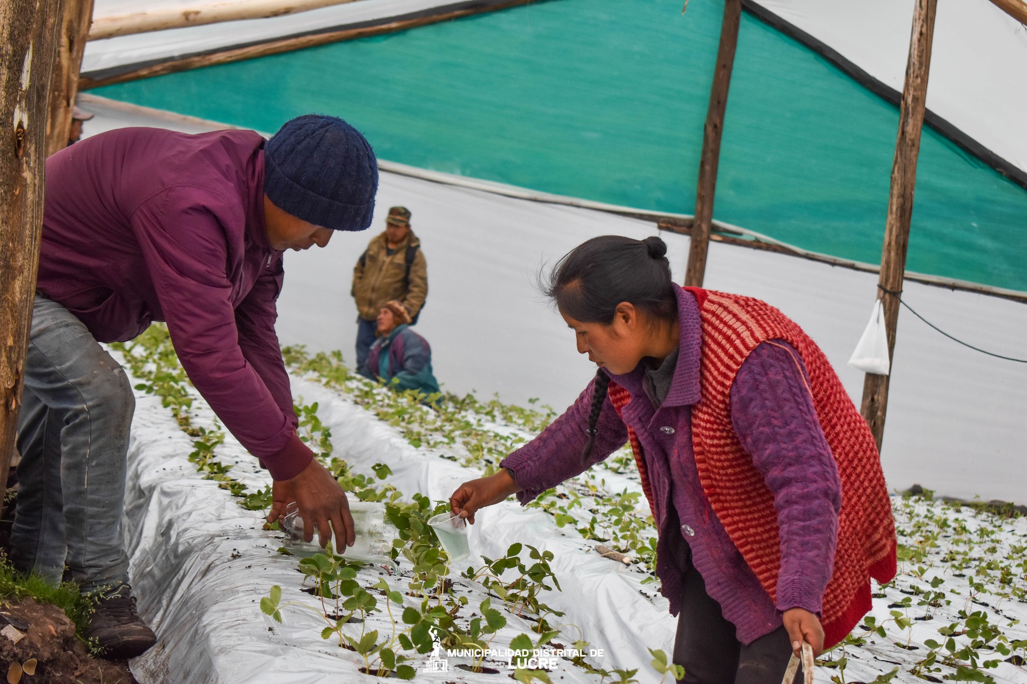 productores participando de la capacitacion