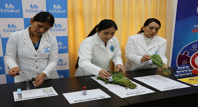 EsSalud Junín elabora más de 1,900 repelentes contra el dengue a base a hierba luisa y menta