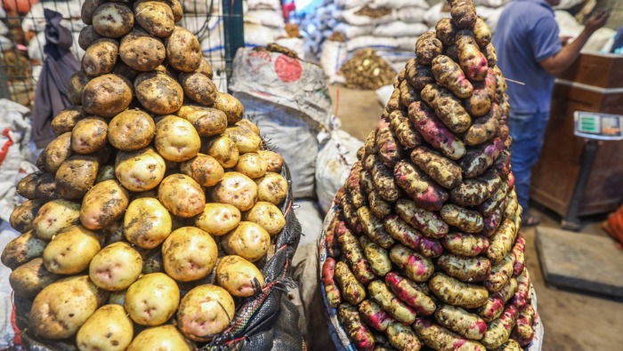 •	Hay ofertas en papa, haba, camote, papaya, piña y melón, entre otros  