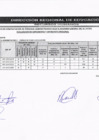 Vista preliminar de documento RESULTADOS PRELIMINARES