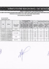 Vista preliminar de documento EVALUACION DE REQUISITOS MINIMOS DEL CURRICULO VITAE - ELIMINATORIA