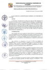 Vista preliminar de documento RA-69-2024