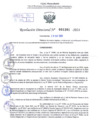 Vista preliminar de documento Resolución Directoral. N° 1101 - 2024 