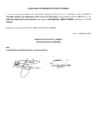 Vista preliminar de documento SEGUNDO REPORTE DE SEGUMIENTO DE PLAN DE ACCIÓN ANUAL