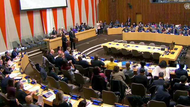 El Perú fue elegido miembro de la Junta Ejecutiva de ONU-Mujeres y de la Comisión de Ciencia y Tecnología para el desarrollo del ECOSOC