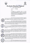 Vista preliminar de documento RDR Nº 84-2024-GRSM-DIREPRO001