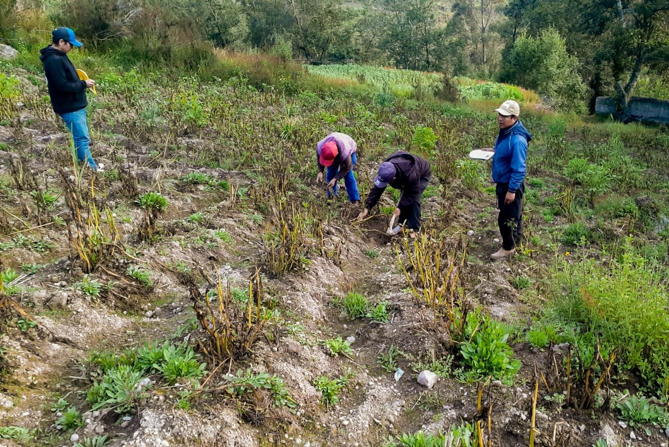 Beneficiario del Seguro Agrario Catastrófico