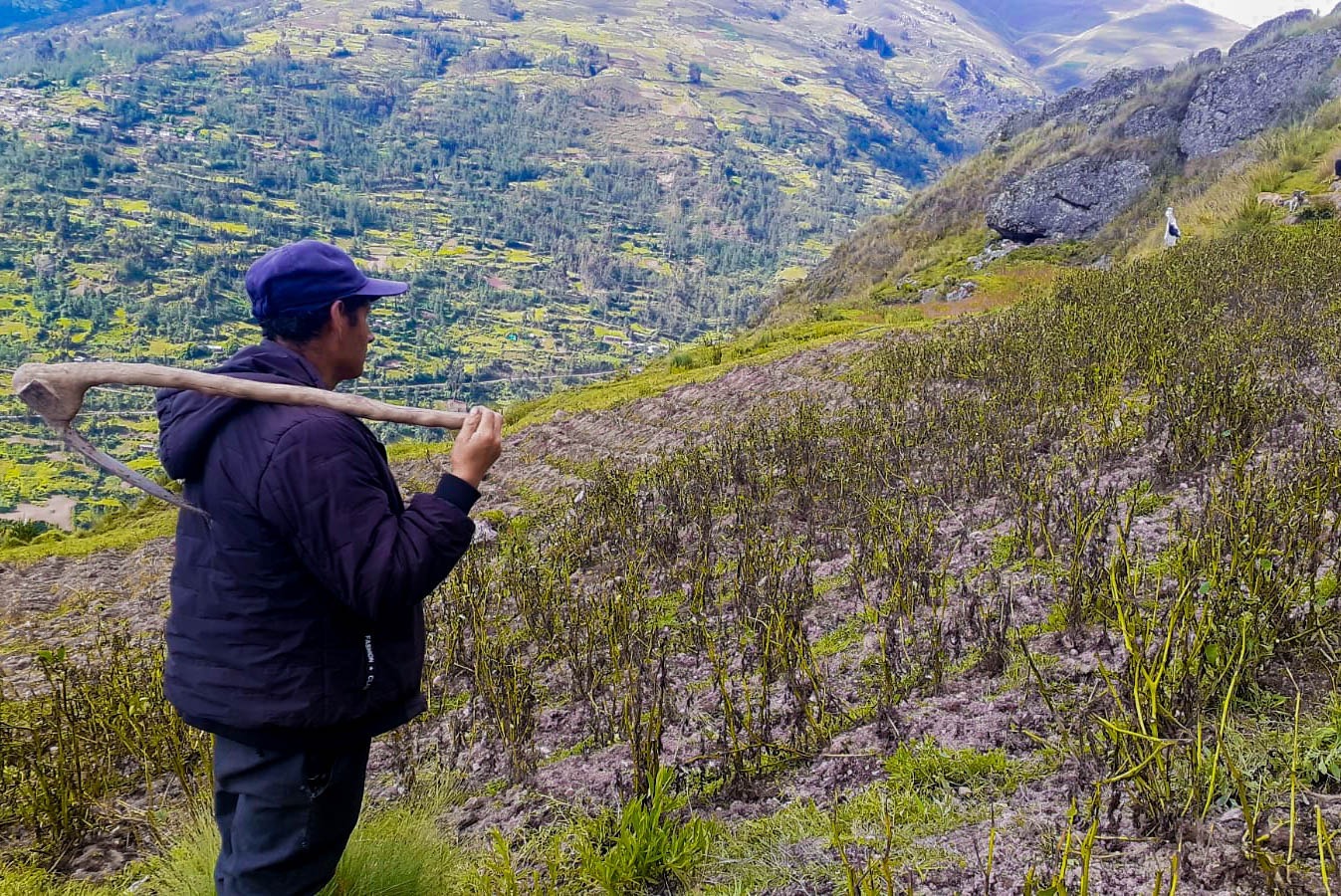 Beneficiario del Seguro Agrario Catastrófico