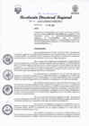 Vista preliminar de documento RDR Nº 85-2024-GRSM-DIREPRO001