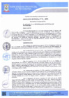 Vista preliminar de documento O-M-511